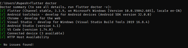 Flutter doctor no issues